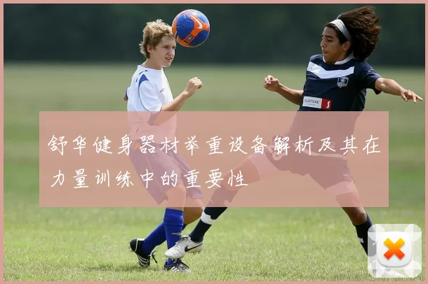 舒华健身器材举重设备解析及其在力量训练中的重要性