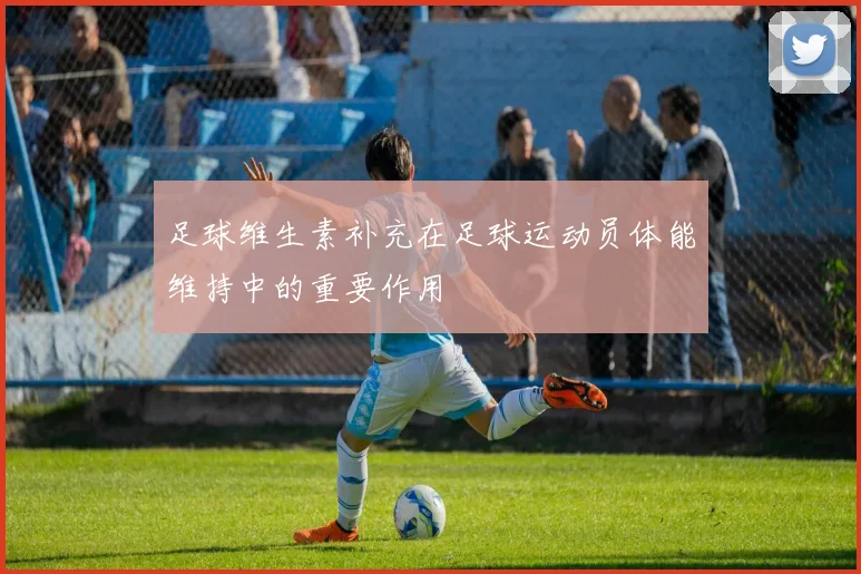 足球维生素补充在足球运动员体能维持中的重要作用