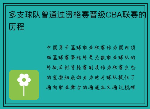 多支球队曾通过资格赛晋级CBA联赛的历程