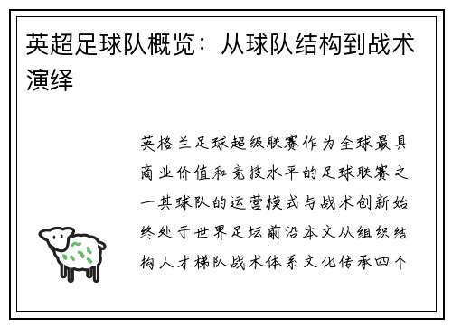 英超足球队概览：从球队结构到战术演绎
